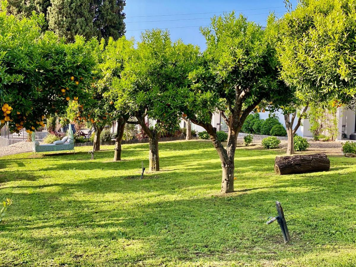 Quinta Da Salada - Turismo Rural Lamego Exterior foto